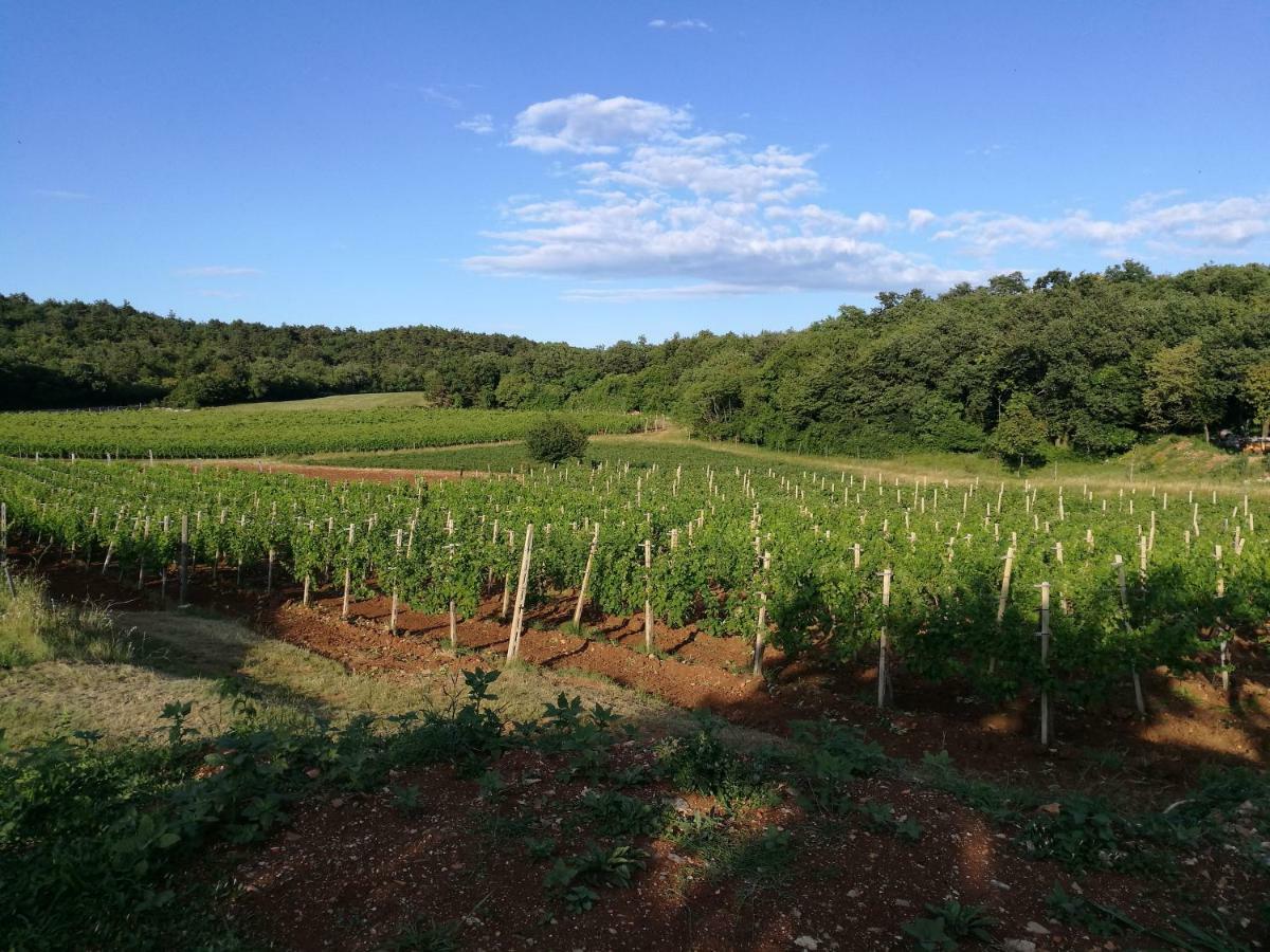 Agriturismo Ostrouska Sgonico Eksteriør billede
